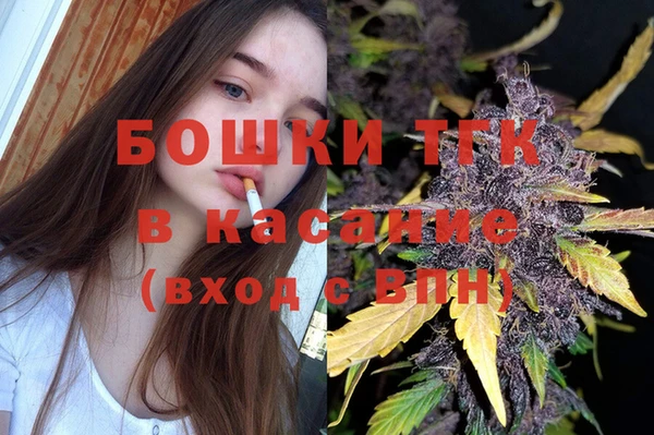 экстази Бородино